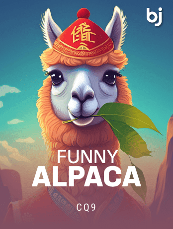 Funny Alpacapng